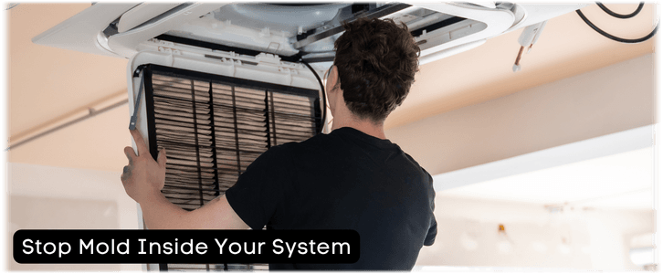 HVAC Mold Removal Irving